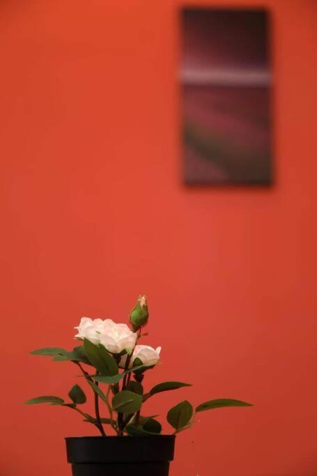 Sweet Cozy Home At Midhills Genting 4-5Pax Genting Highlands Kültér fotó